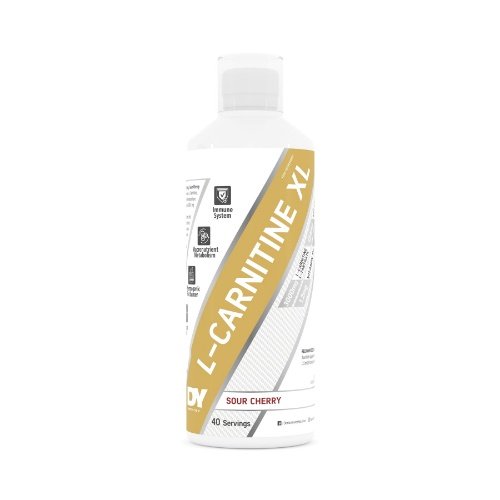 DY skystas L-Carnitinas XL 1000ml skonis - Mangų